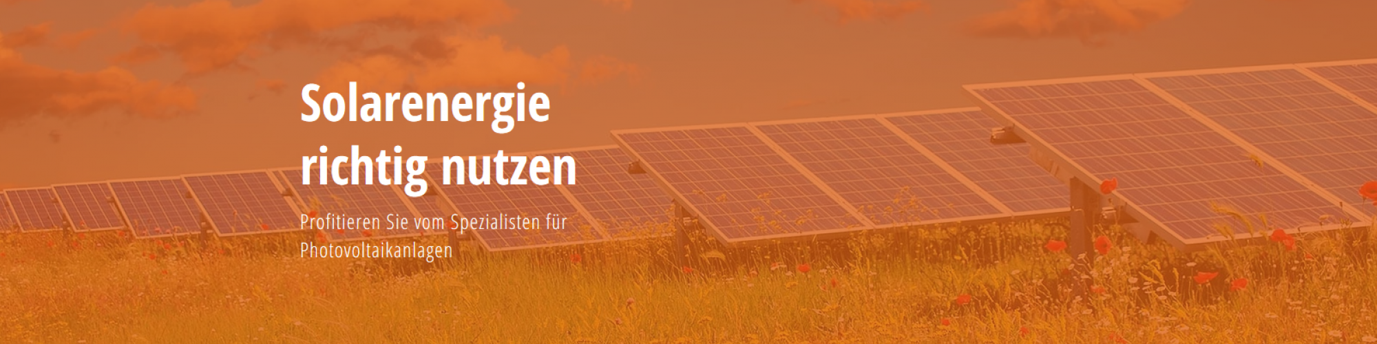 antlike Solar GmbH & Co. KG