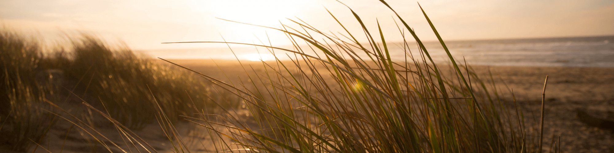 P.I.K. Zingst GmbH
