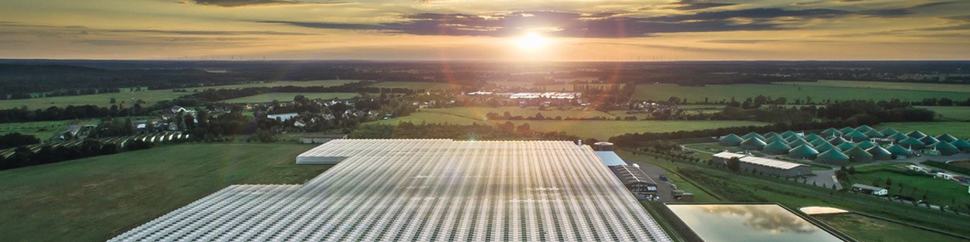Tier- und Pflanzenproduktion Felgentreu GmbH