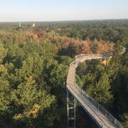 Baumkronenpfad Beelitz Heilstätten