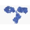 Dengue Antibody Pairs